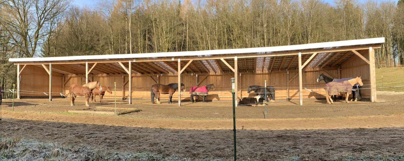 Pferde in einem offenen überdachten Ruhebereich